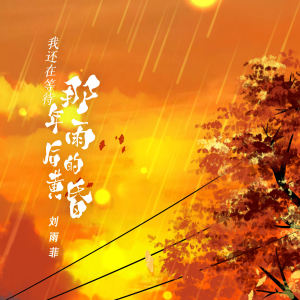 Album 我还在等待那年雨后的黄昏 from 刘雨菲