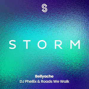 Album Bellyache from DJ Phellix