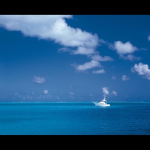 Listen to Warm song with lyrics from Study Music & Sounds