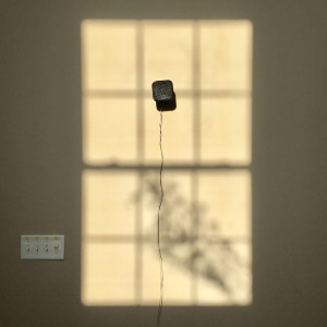 Listen to Fool for You song with lyrics from Ozetta