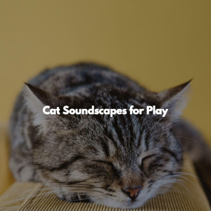 Cat Soundscapes for Play