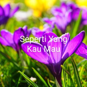 收聽D'wapinz Band的Berharap Kau Setia歌詞歌曲