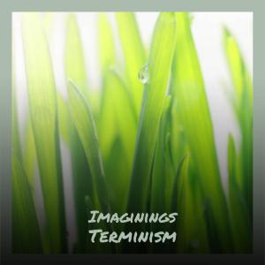ดาวน์โหลดและฟังเพลง Imaginings Terminism พร้อมเนื้อเพลงจาก Lincon Prio