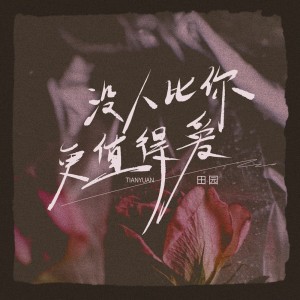 Dengarkan 没人比你更值得爱 (DJ九零版) lagu dari 田园 dengan lirik