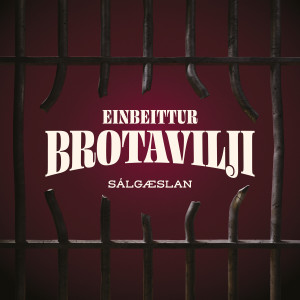 Listen to Nema hvað? song with lyrics from Sálgæslan