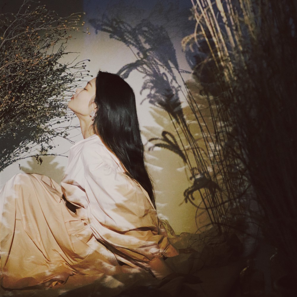 Su Yunying