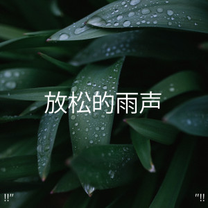 收听Meditation Rain Sounds的White Noise Rain歌词歌曲