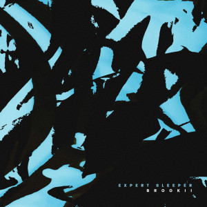 Album Expert Sleeper from Brookii