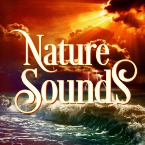 收聽Nature Sounds的River Sounds: Winds accross a stream歌詞歌曲