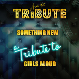 ดาวน์โหลดและฟังเพลง Something New (A Tribute to Girls Aloud) พร้อมเนื้อเพลงจาก Ameritz Top Tracks