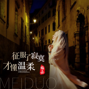 收聽梅朵的征服了寂寞才懂溫柔 (伴奏)歌詞歌曲