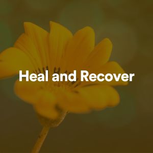 Great Meditation Guru的专辑Heal and Recover