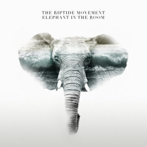 收聽The Riptide Movement的Elephant In The Room歌詞歌曲