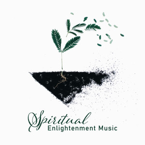 Listen to Spiritual Language song with lyrics from Meditation Mantras Guru