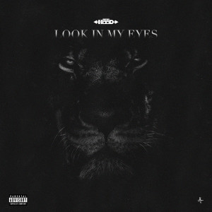 ดาวน์โหลดและฟังเพลง Look In My Eyes (Explicit) พร้อมเนื้อเพลงจาก Ace Hood