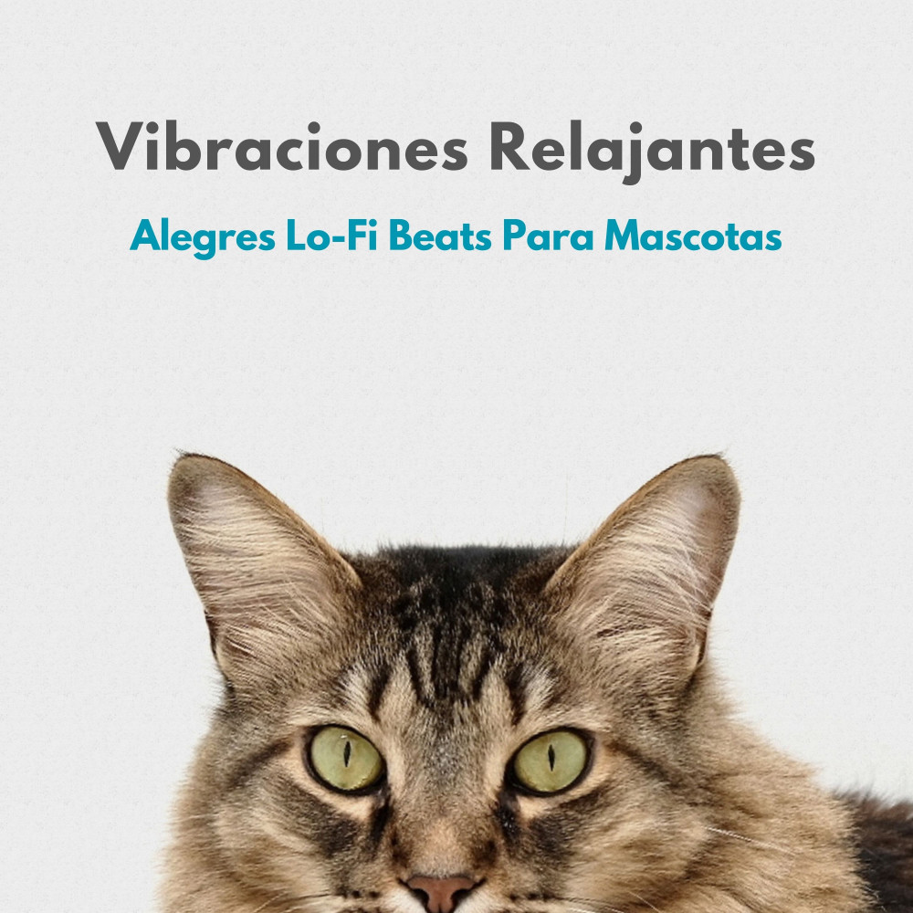 Ambiente Vintage