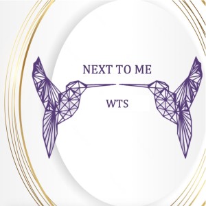 Listen to Next To Me (Tie Remix) song with lyrics from WTS