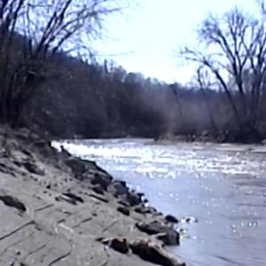 收聽trees的objective.permanent (Explicit)歌詞歌曲