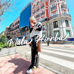 ดาวน์โหลดและฟังเพลง Mala Hierba พร้อมเนื้อเพลงจาก Daba