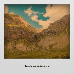 Listen to Appellation Neglect song with lyrics from Mavo Gollo