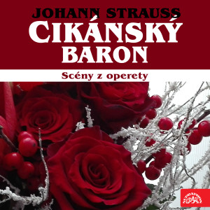 Album Strauss: Cikánský baron. Scény z operety from Various