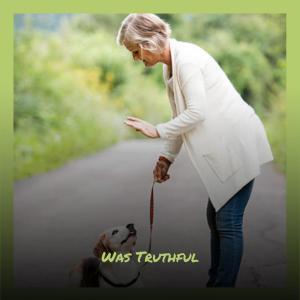 Listen to Was Truthful song with lyrics from Amalina