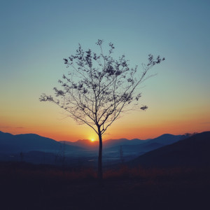 Chalm的專輯at peace