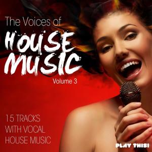 Listen to Ain't Nobody (Remix) song with lyrics from Jason Chance