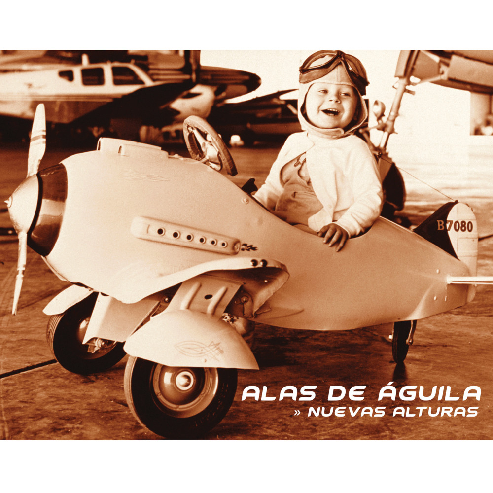 Fuerza Aérea de Jesús
