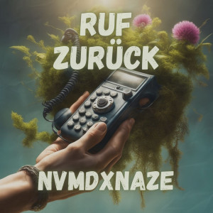 Listen to Ruf Zurück song with lyrics from Nvmd