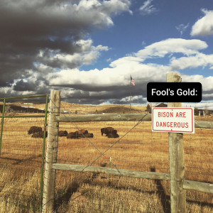 Album Fool's Gold: Bison Are Dangerous from Goods