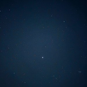 Listen to ここにいる song with lyrics from Duuy