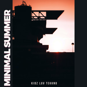 Various Artists的专辑Minimal Summer