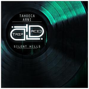 ดาวน์โหลดและฟังเพลง Silent Hills (Instrumental) พร้อมเนื้อเพลงจาก Tahoeca & Jay Bae