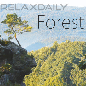 Dengarkan lagu N°079 nyanyian RelaxDaily dengan lirik