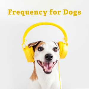 Album Frequency for Dogs (Furry Friend Recovering) oleh Pet Music Academy