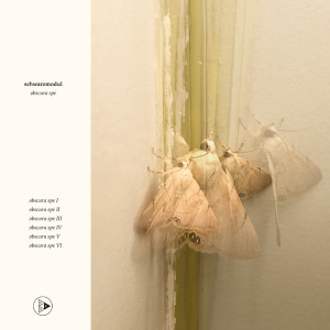 Listen to obscura spe VI song with lyrics from Schwarzmodul