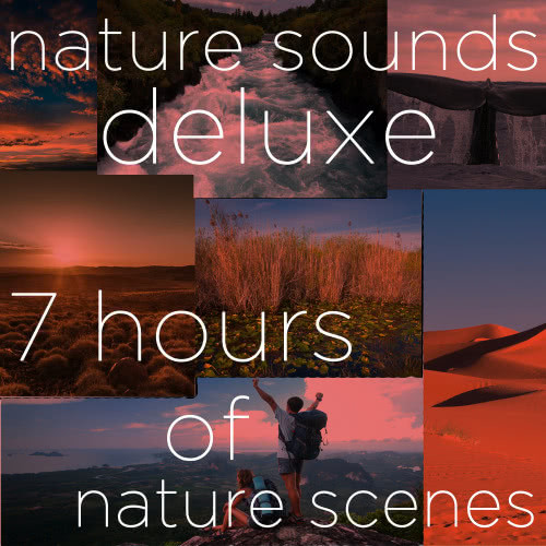 Sounds at Sunset