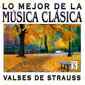 ดาวน์โหลดและฟังเพลง Vino, mujeres y canciones พร้อมเนื้อเพลงจาก Gran Orquesta de Conciertos de Viena