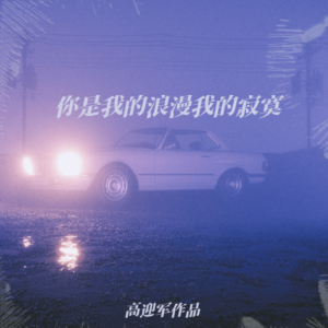 Album 你是我的浪漫我的寂寞 from 