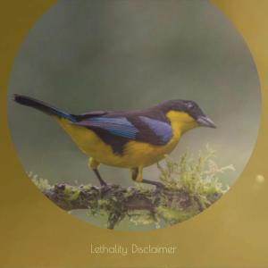 Album Lethality Disclaimer oleh Various