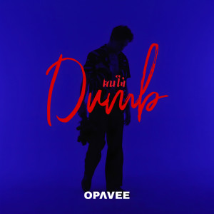 收听O-Pavee的คนโง่歌词歌曲