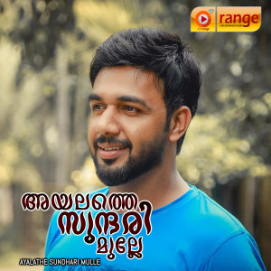 Album Ayalathe Sundhari Mulle from Various