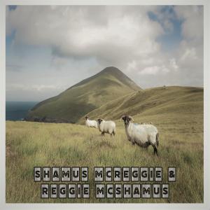 Dengarkan Toady Irish Clown (Live) lagu dari Shamus McReggie dengan lirik