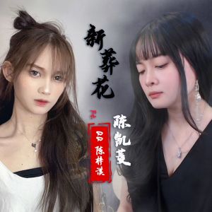 Listen to 新葬花 song with lyrics from 陈凯菱