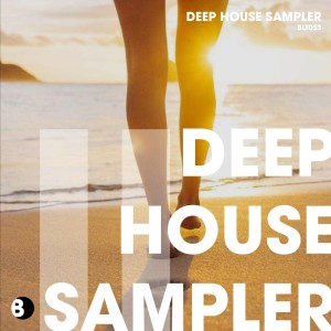 Listen to Where I Wanna Be (Club Edit) song with lyrics from Seumas Norv