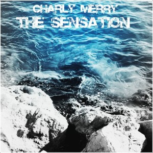 收聽Charly Merry的Greg Hosvan "Digitall Underground" (Charly Merry Remix)歌詞歌曲