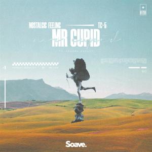 Album Mr. Cupid (feat. Sandra Garupe) from Nostalgic Feeling
