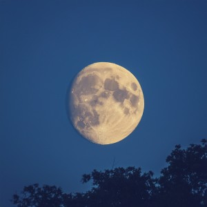 ดาวน์โหลดและฟังเพลง Música Relajante Para El Atardecer พร้อมเนื้อเพลงจาก Relajación Clásica