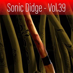 Gene Pierson的專輯Sonic Didge, Vol. 39